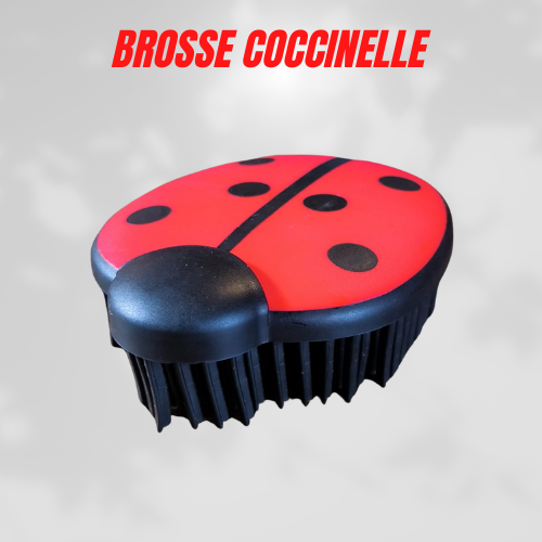 Brosse coccinelle